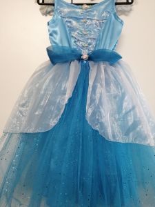 Kids Costumes to Hire - Blue princess dress with flowers